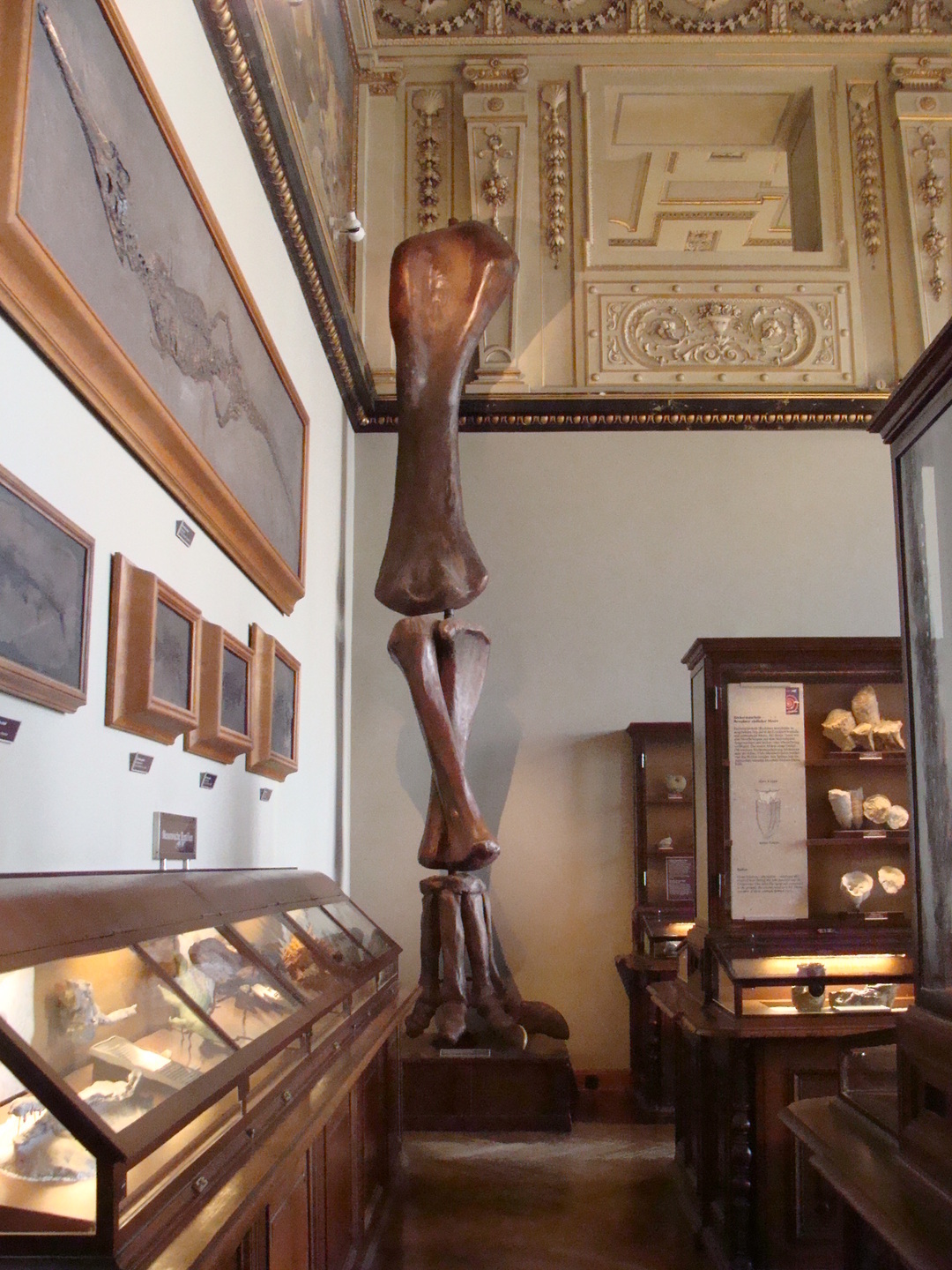 Museo di storia naturale, Vienna, 2012